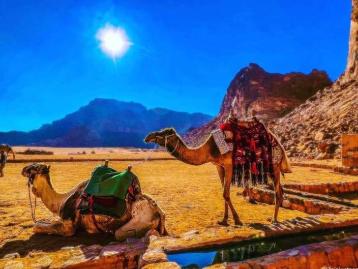 Moon City With Jeep Trips Wadi Rum Exterior foto
